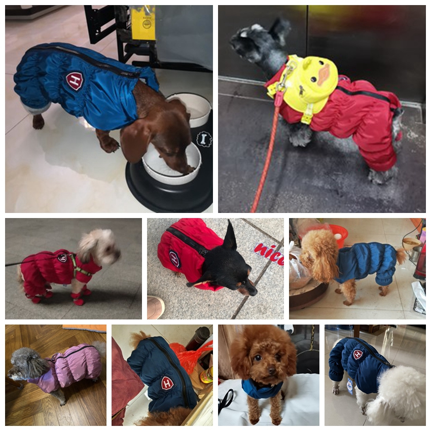Dây Kéo Tuyết Unisex Chó Chống - đánh giá và giá Baby Clothing Winter